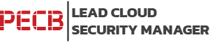 Lead Cloud Security Manager
