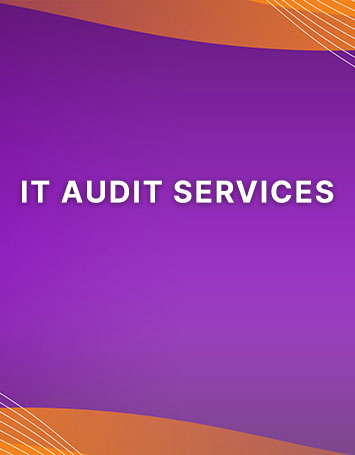 IT Audit Service